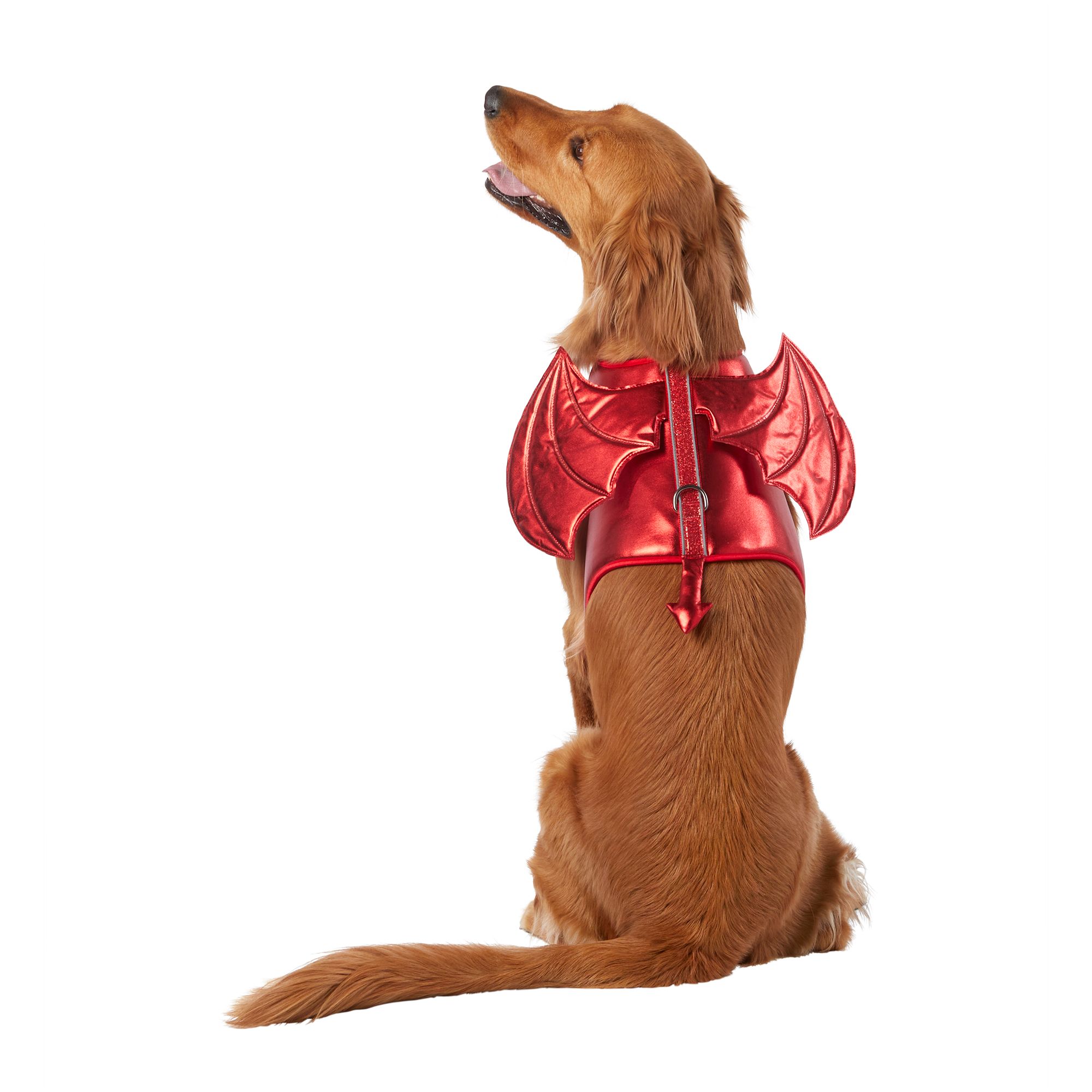 Thrills &amp; Chills&amp;trade; Halloween Devil Costume Vest Dog Harness