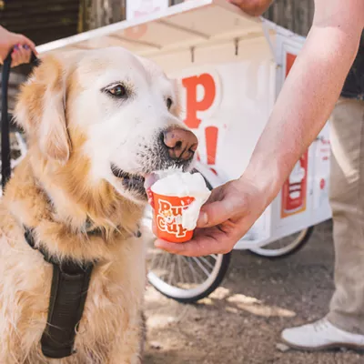 Product Pup Cup Frozen All Life Stage Dog Treat - Chicken