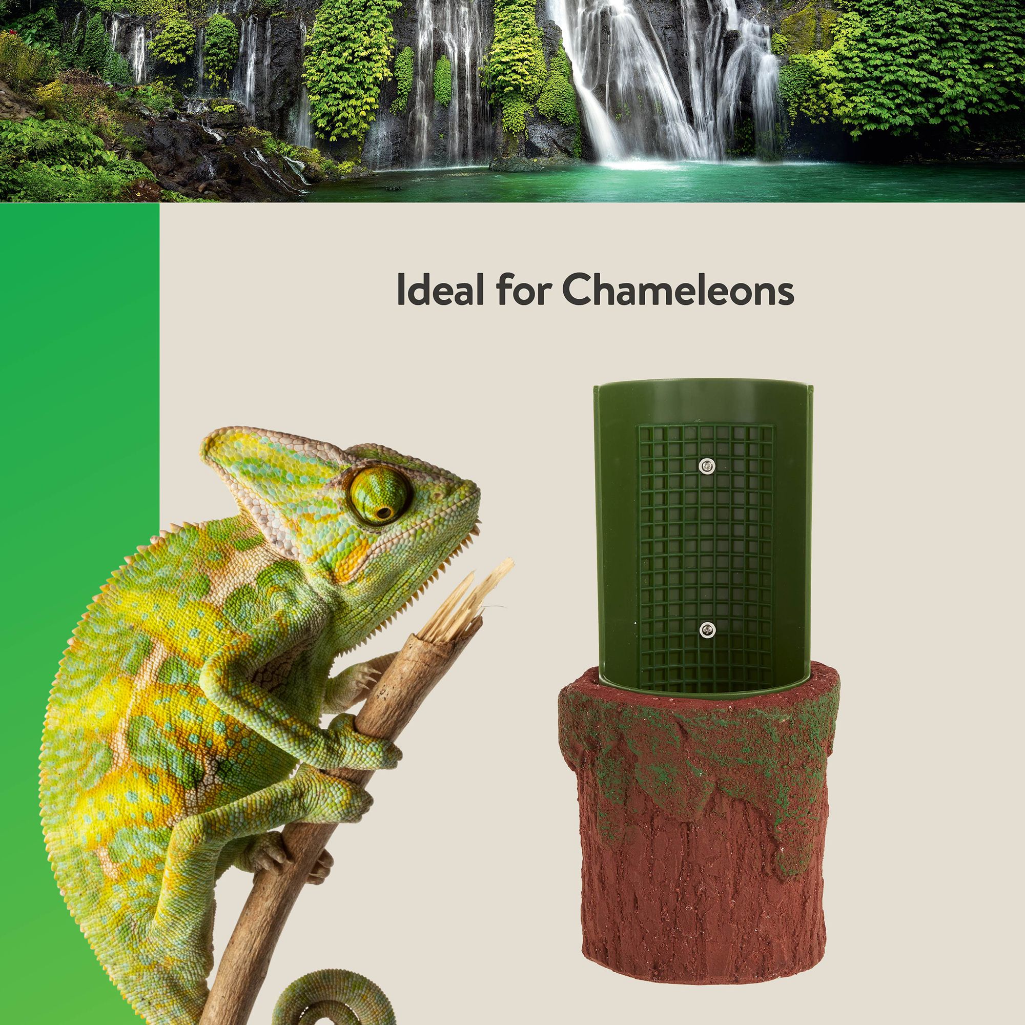 Thrive Climber Feeding Dish - Reptile Feeding Dish - thumbnail 5