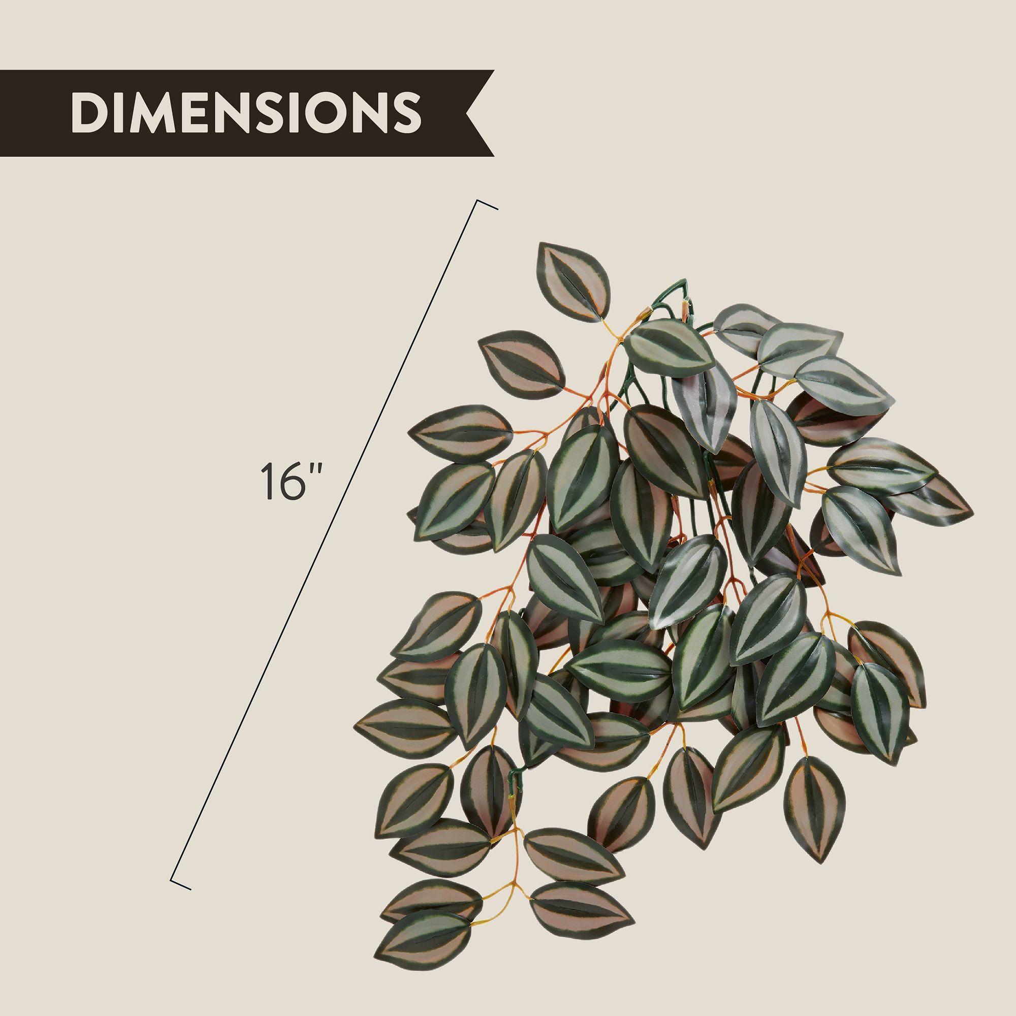 Thrive Hanging Vine Terrarium Plant - Terrarium Plant Decor - 16 in - thumbnail 2