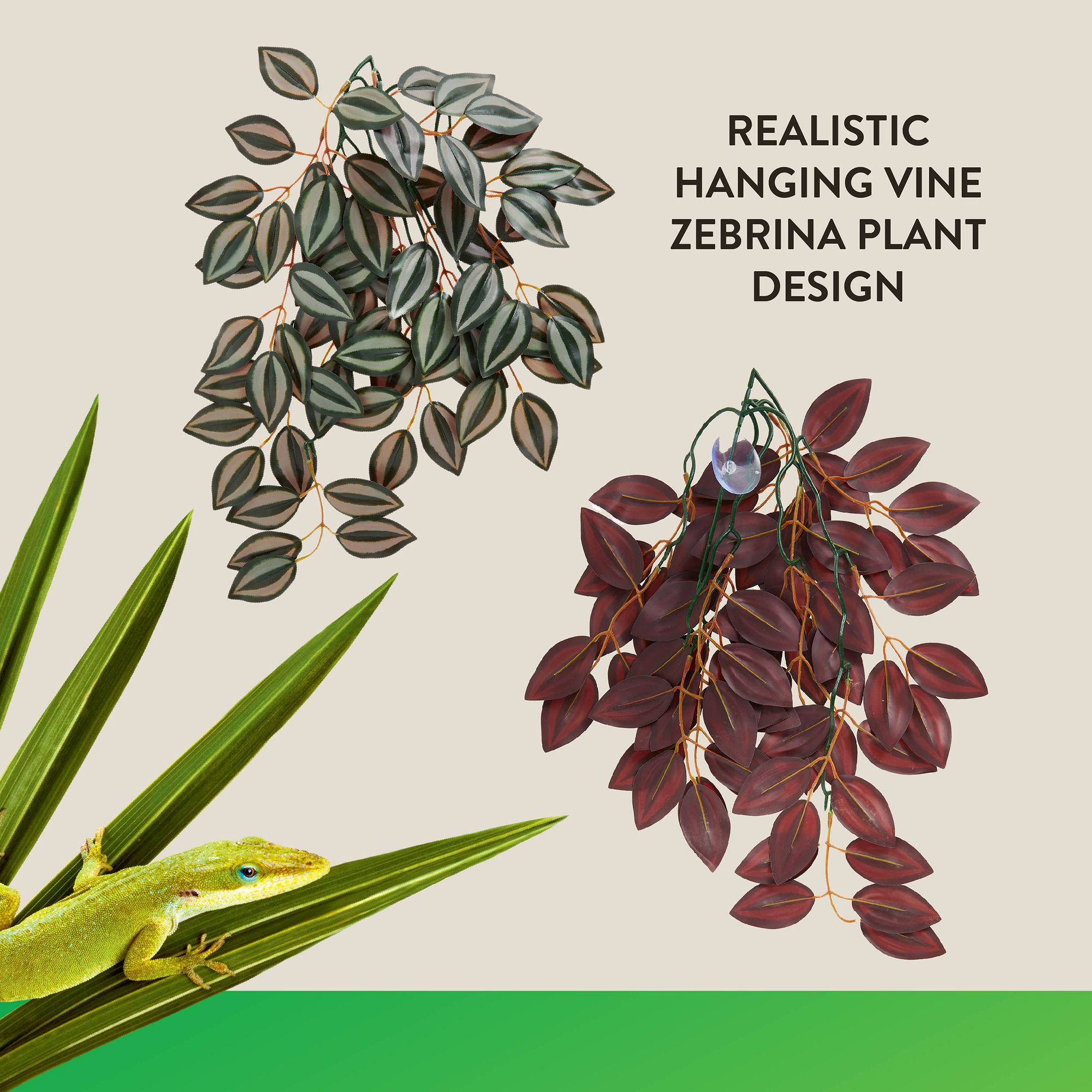 Thrive Hanging Vine Terrarium Plant - Terrarium Plant Decor - 16 in - thumbnail 3