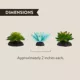 Product Thrive Succulent Plants - 3pk