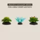 Product Thrive Succulent Plants - 3pk