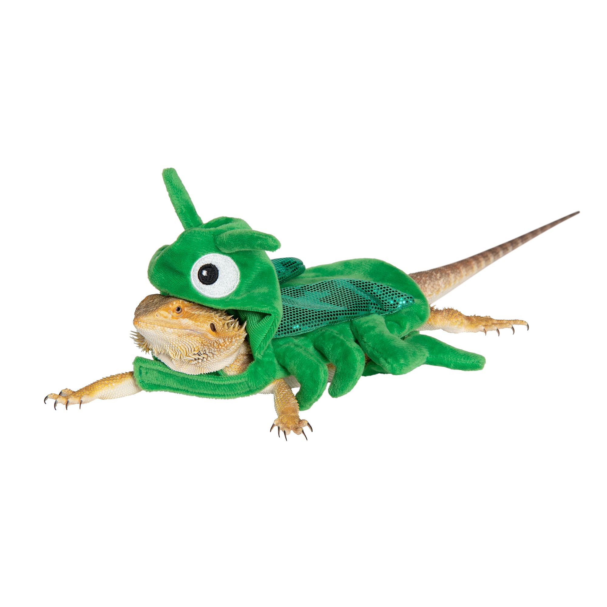 Thrive Reptile Cricket Costume reptile Habitat Accessories PetSmart