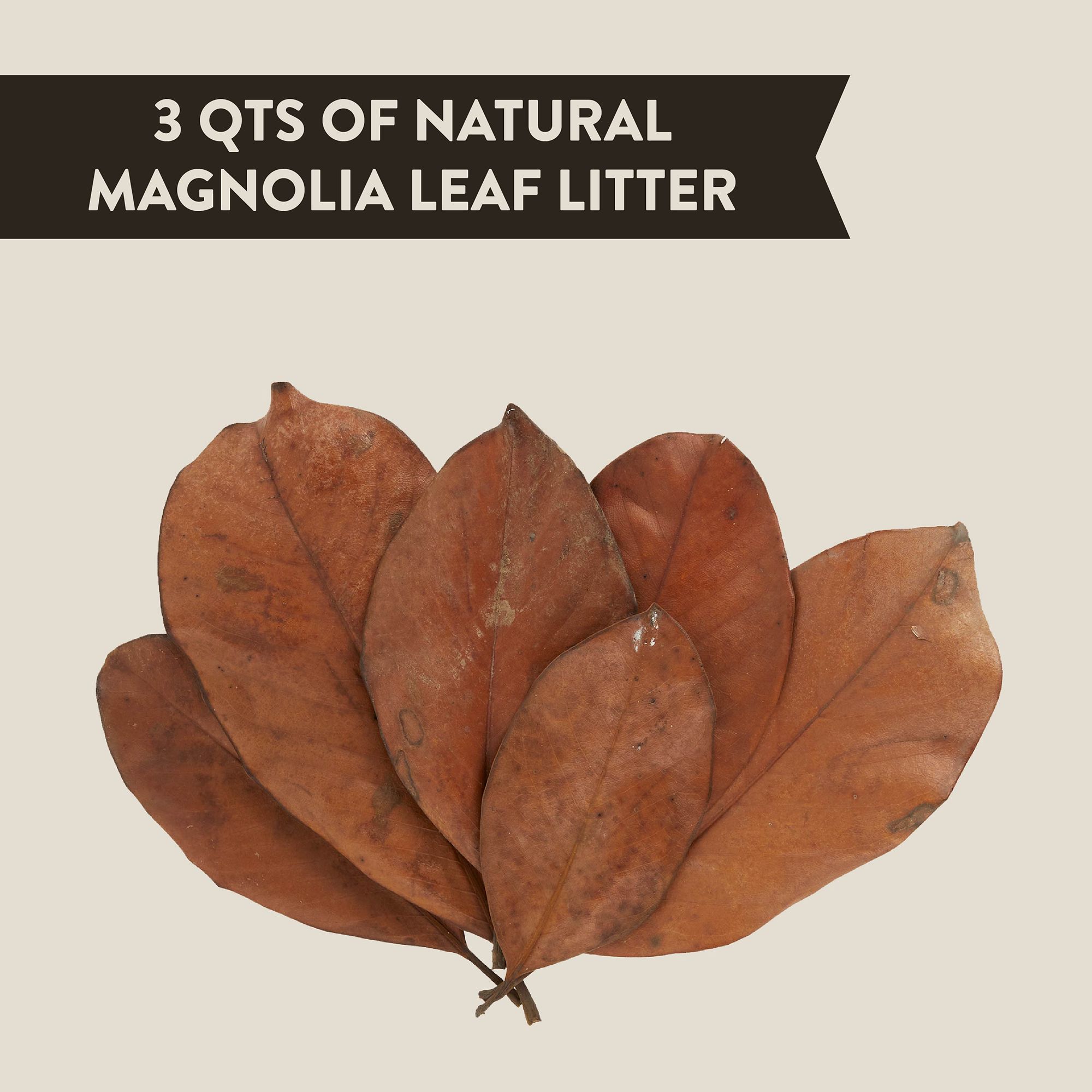 Thrive Natural Magnolia Leaf Litter - Bioactive Terrarium Substrate - 3 qt - thumbnail 2