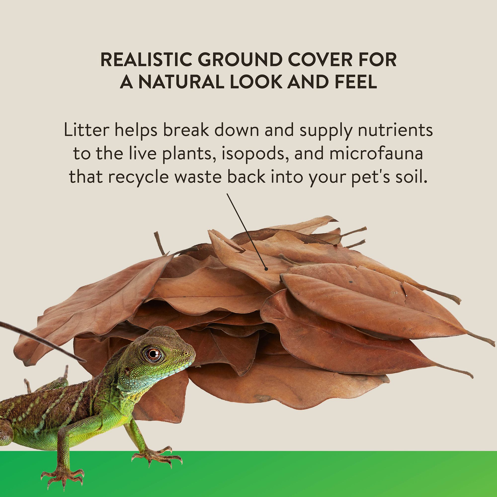 Thrive Natural Magnolia Leaf Litter - Bioactive Terrarium Substrate - 3 qt - thumbnail 3