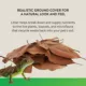 Product Thrive Natural Magnolia Leaf Litter