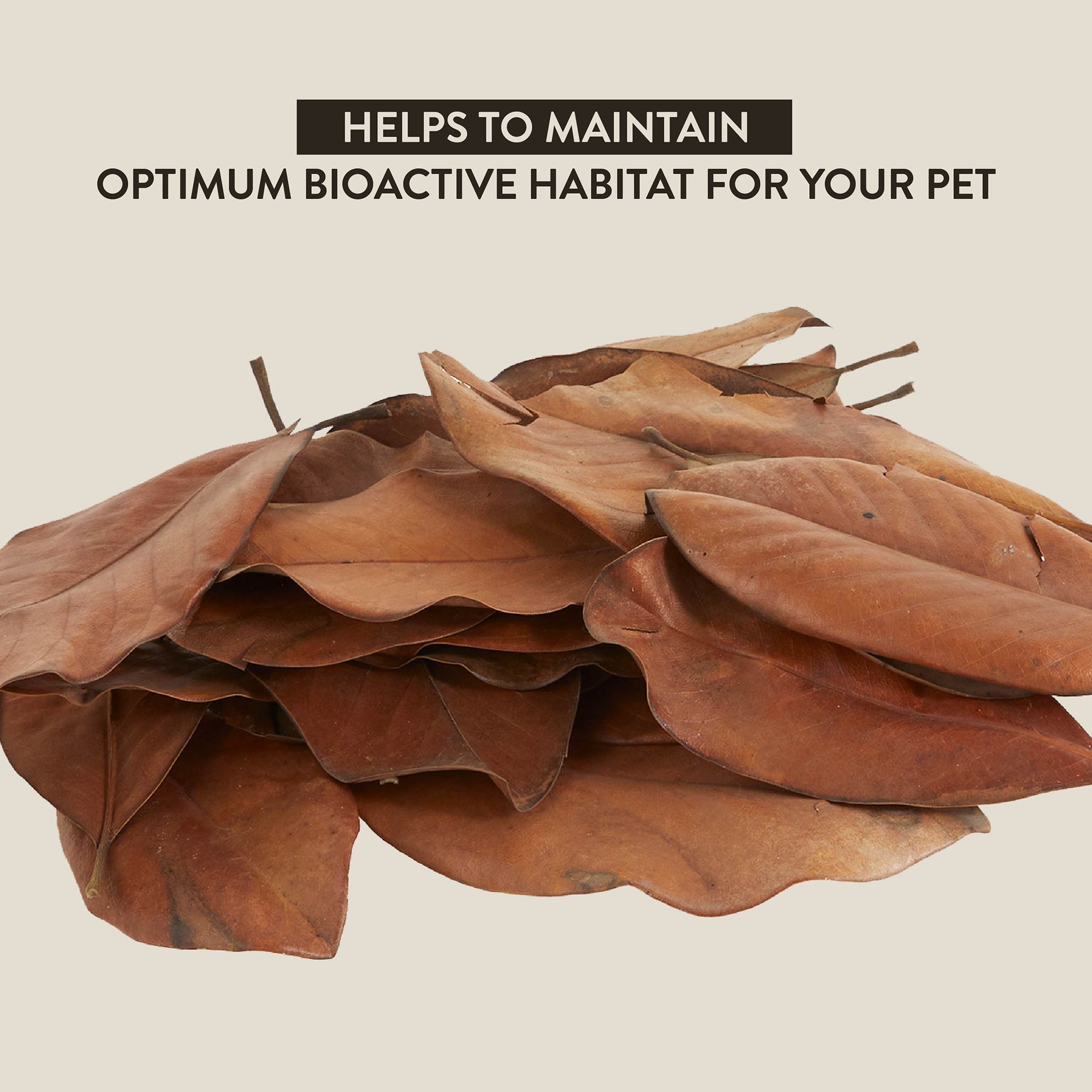 Thrive Natural Magnolia Leaf Litter - Bioactive Terrarium Substrate - 3 qt - thumbnail 4