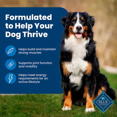 Product Blue Buffalo® Life Protection Formula™ Adult Dry Dog Food - Chicken & Brown Rice