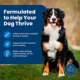 Product Blue Buffalo® Life Protection Formula™ Adult Dry Dog Food - Chicken & Brown Rice