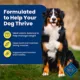 Product Blue Buffalo® Life Protection Formula Healthy Weight Adult Dog Dry Food - Chicken & Brown Rice