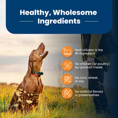Product Blue Buffalo® Life Protection Formula™ Large Breed Adult Dry Dog Food - Chicken & Brown Rice