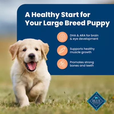Product Blue Buffalo® Life Protection Formula™ Large Breed Puppy Dry Dog Food - Chicken & Brown Rice