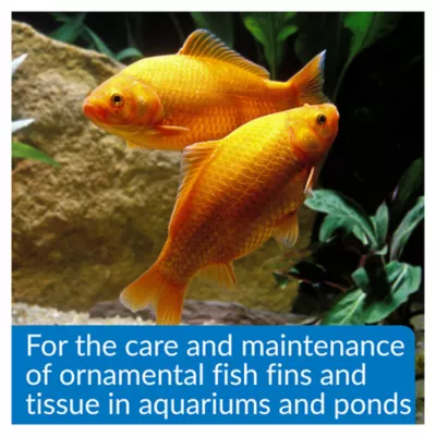 API® Melafix Fish Bacterial Infection Treatment - Image 4
