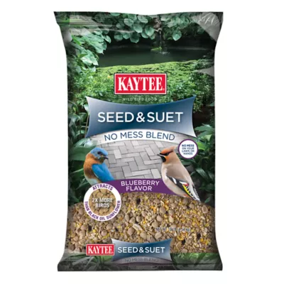 Product KAYTEE® Seed & Suet No Mess Blueberry