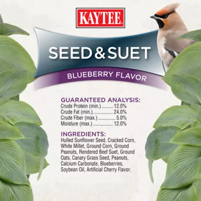 Product KAYTEE® Seed & Suet No Mess Blueberry