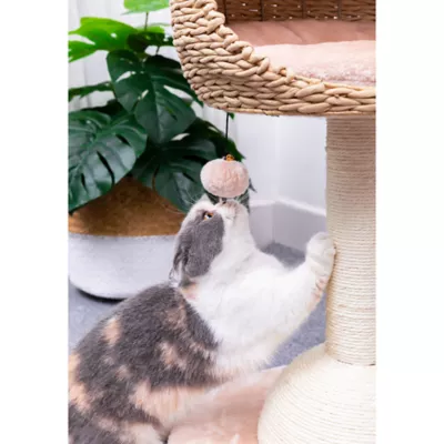 Product PetPals 30-in Lookout Cat Tree Bed, Beige