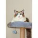 Product Catry 43-in Babylon Cat Tree, Beige