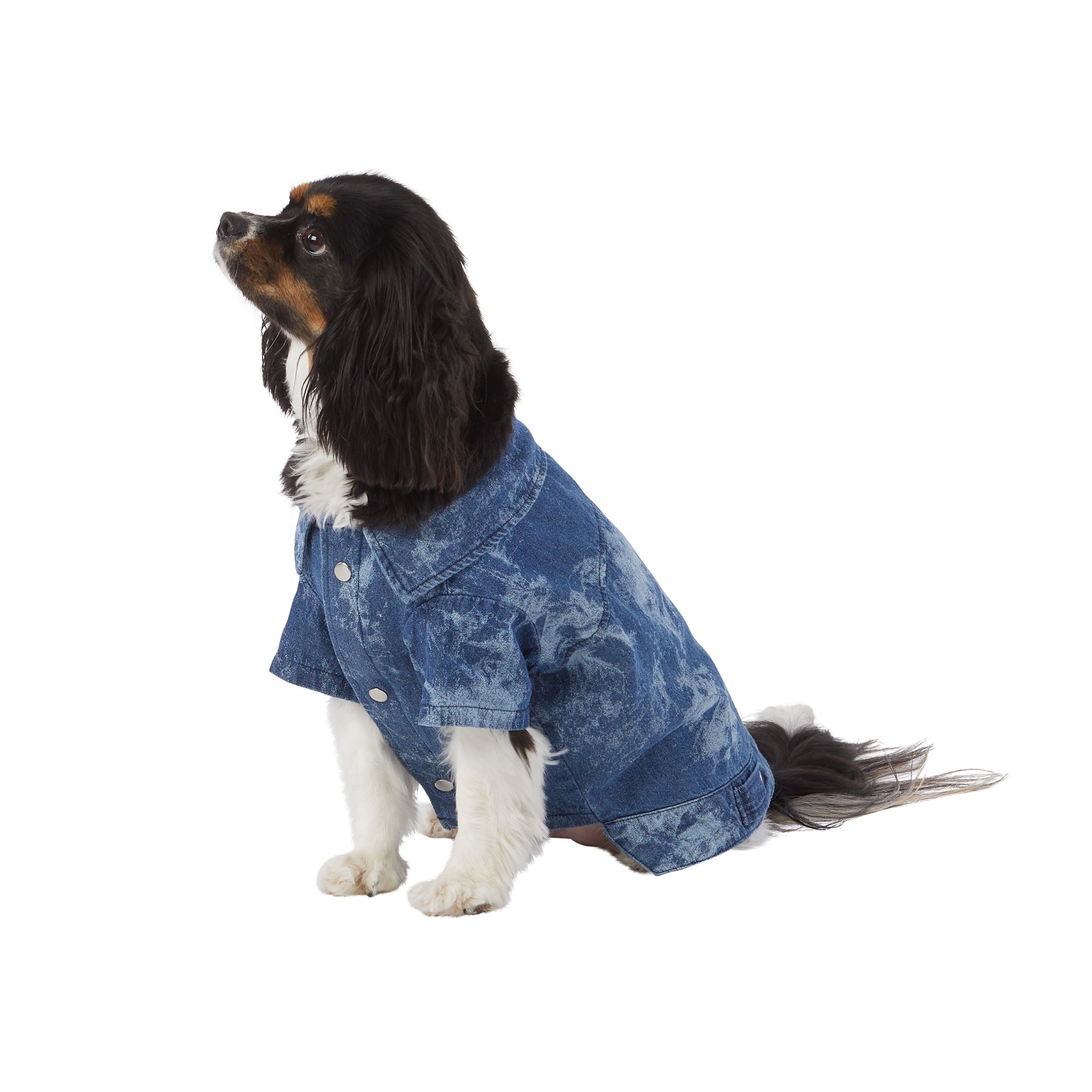 Top paw hot sale dog jacket