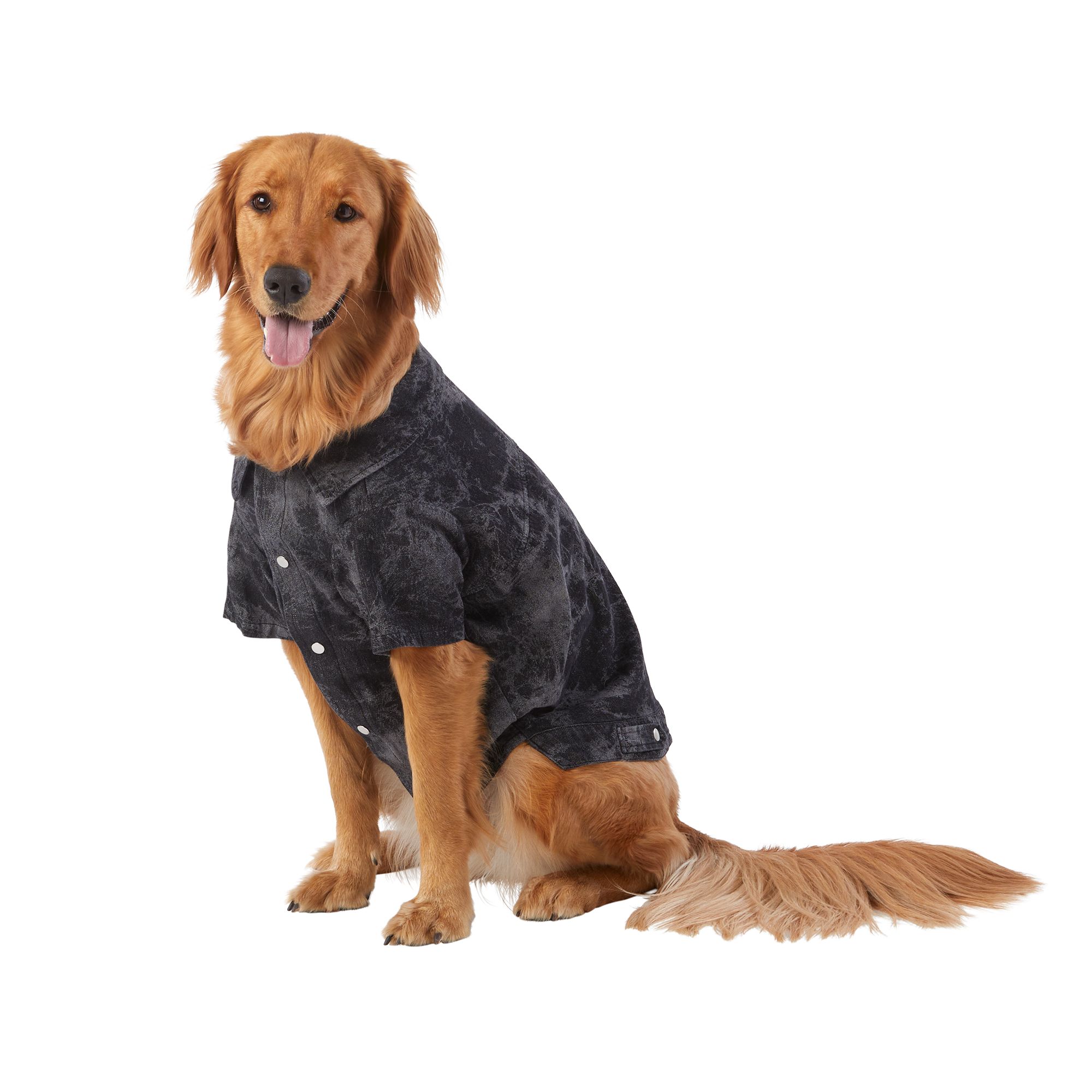 Top Paw Tie Dye Denim Dog Jacket dog Jackets Coats PetSmart