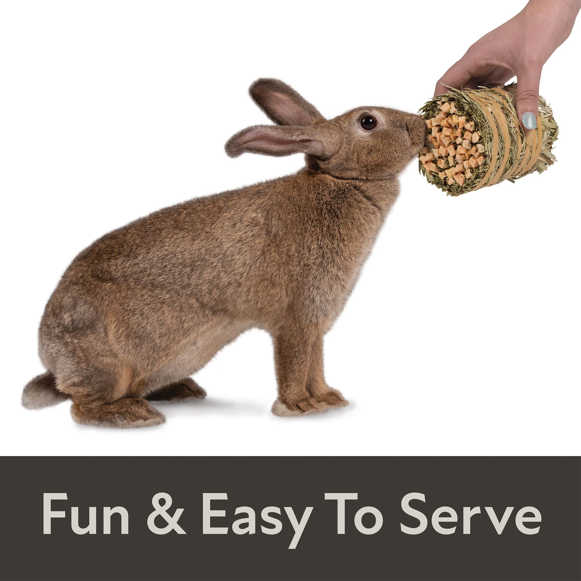 Field+Forest by Kaytee Mini Hay Bale - 1pk - thumbnail 4