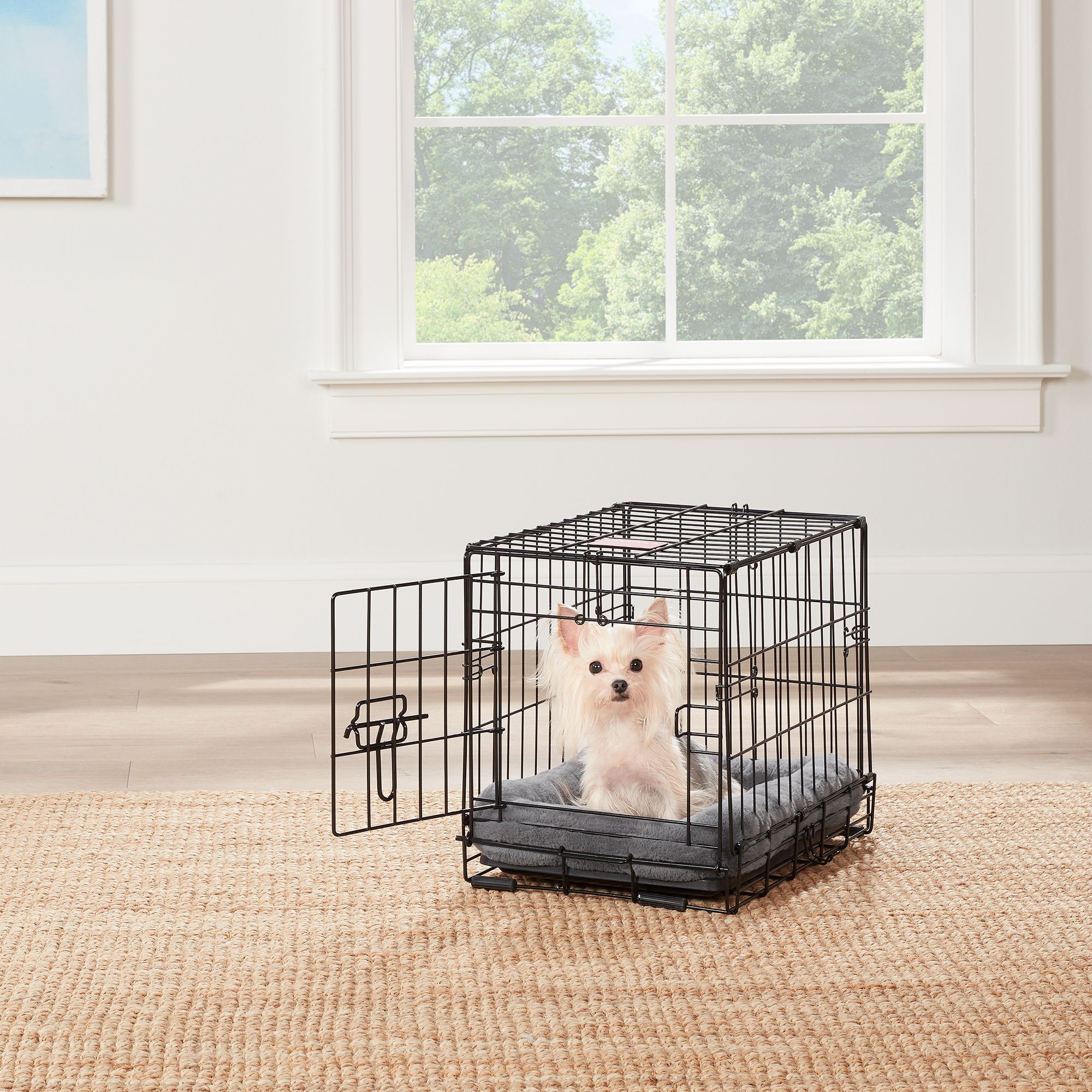 Top Paw® Single Door Folding Wire Dog Crate dog Crates & Kennels