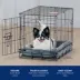 Top Paw® Single Door Folding Wire Dog Crate - Leak Prof Tray; Metal, Collapsible, X-Small - XX Large image thumbnail 6
