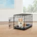 Top Paw® Single Door Folding Wire Dog Crate - Leak Prof Tray; Metal, Collapsible, X-Small - XX Large image thumbnail 1