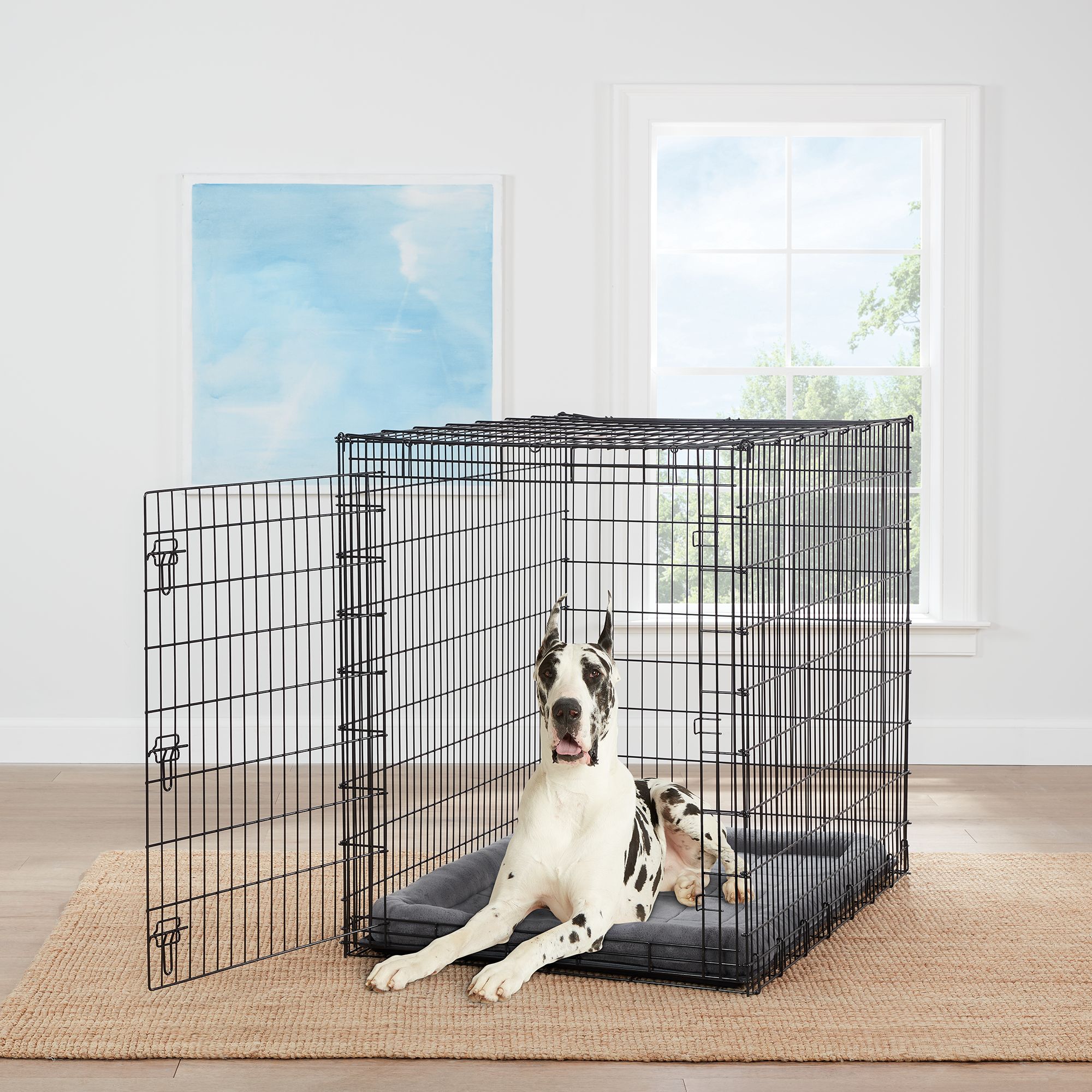 Petsmart folding shop dog crate