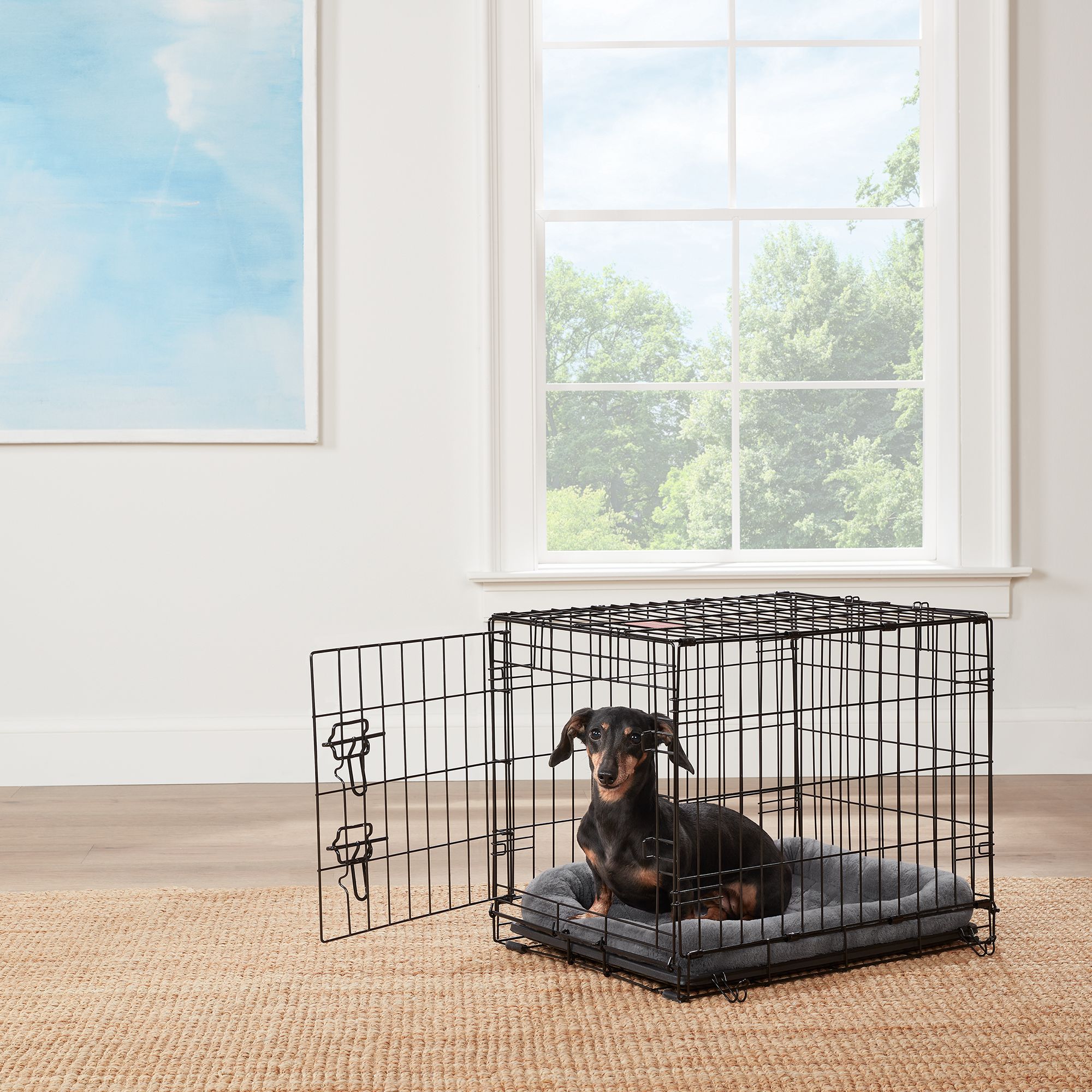 Top Paw Single Door Folding Wire Dog Crate