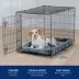 Top Paw® Single Door Folding Wire Dog Crate - Leak Prof Tray; Metal, Collapsible, X-Small - XX Large image thumbnail 6