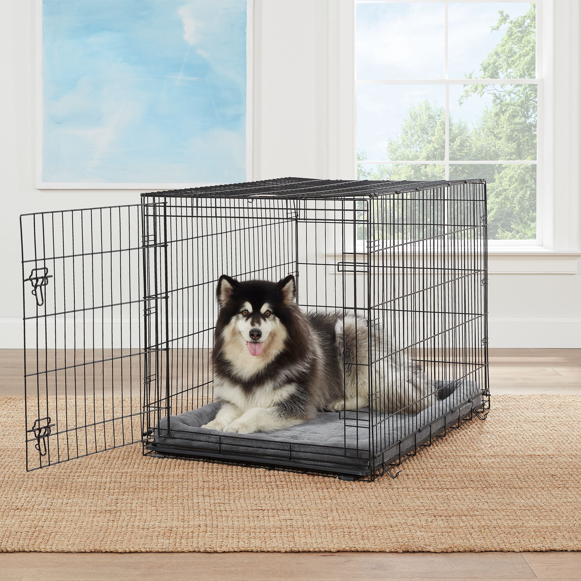 Petsmart dog hotsell cages in store