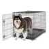 Top Paw® Single Door Folding Wire Dog Crate - Leak Prof Tray; Metal, Collapsible, X-Small - XX Large image thumbnail 2