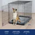Top Paw® Single Door Folding Wire Dog Crate - Leak Prof Tray; Metal, Collapsible, X-Small - XX Large image thumbnail 7