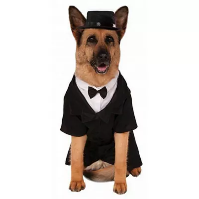 Product Rubie's Pet Shop Celebrations Dapper Suit & Hat Dog & Cat Costume