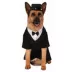 Rubie's Pet Shop Celebrations Dapper Suit & Hat Dog & Cat Costume image thumbnail 1