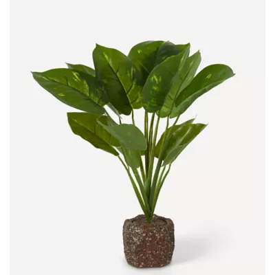 Product Nate & Jeremiah Leafy Potted Plant Reptile & Aquarium Décor - 11.5"