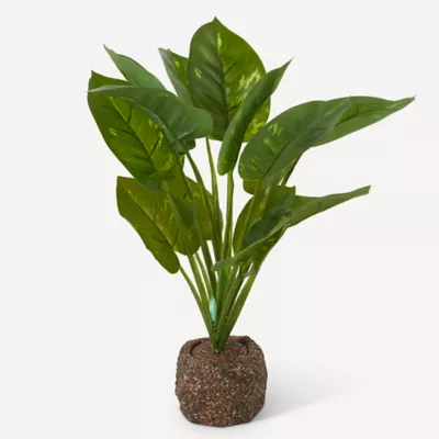 Product Nate & Jeremiah Leafy Potted Plant Reptile & Aquarium Décor - 11.5"