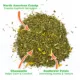 Product Meowijuana® Daydreamer Mix Catnip Sampler Tube