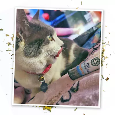 Product Meowijuana® Daydreamer Mix Catnip Sampler Tube