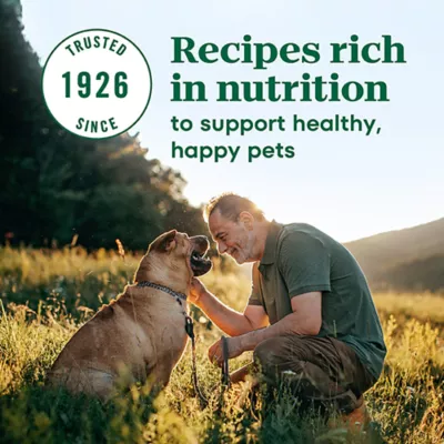 NUTRO MAX™ Adult Dry Dog Food - Chicken - Image 5