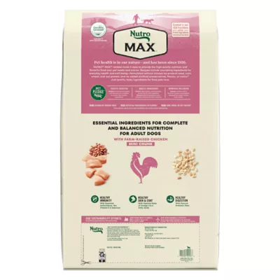 Product NUTRO MAX™ Mini Chunk Adult Dry Dog Food - Chicken