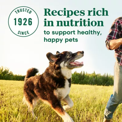 Product NUTRO MAX™ Large Breed Adult Dry Dog Food - Chicken