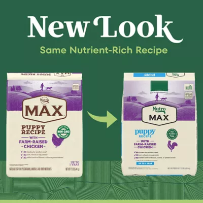 Product NUTRO MAX™ Puppy Dry Dog Food - Chicken