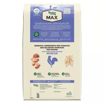 Nutro max natural puppy dry dog food best sale