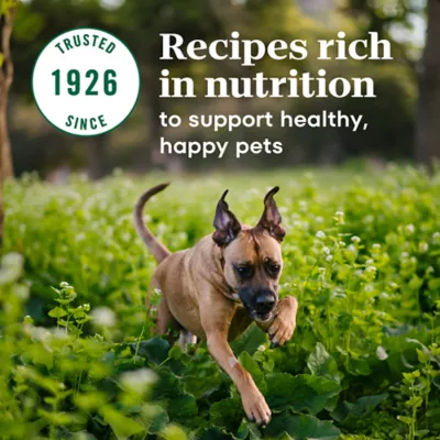 Product NUTRO MAX™ Large Breed Puppy Dry Dog Food - Chicken