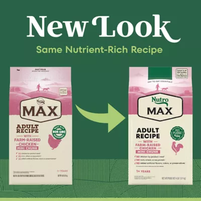 Product NUTRO MAX™ Mini Chunk Adult Dry Dog Food - Chicken