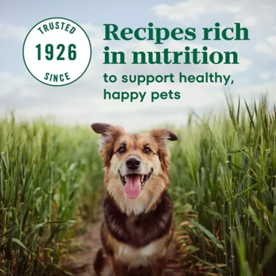 Product NUTRO MAX™ Mini Chunk Adult Dry Dog Food - Chicken