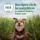 Product NUTRO MAX™ Mini Chunk Adult Dry Dog Food - Chicken