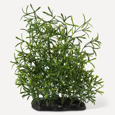 Product Nate & Jeremiah Rosemary Plant Reptile & Aquarium Décor - 9"